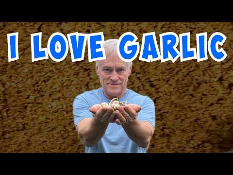 👨‍🌾Planting Garlic With DIY Bone Meal | Free Garden Fertilizer (Part 2)