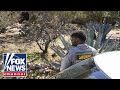 FRICTION IN TUCSON FBI Sheriff CLASH Over Nancy Guthrie Cameras