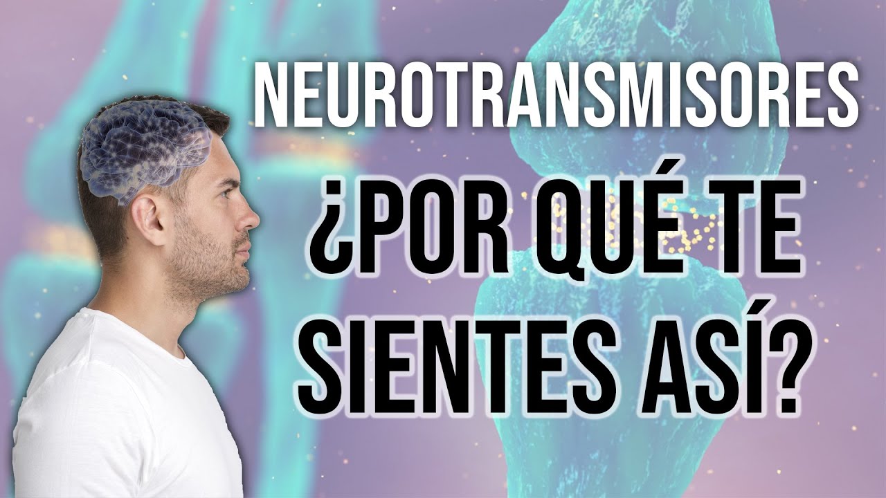🧠Principales NEUROTRANSMISORES y sus FUNCIONES en el Organismo (Dr. Domingo Pérez León)