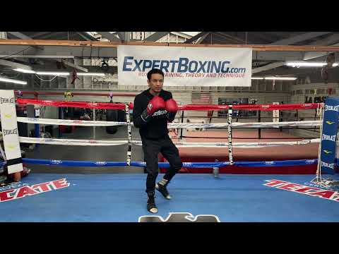 Southpaw Boxing Stance - basic technique for left-handers