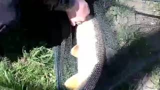 На реке сунжа рыбалка