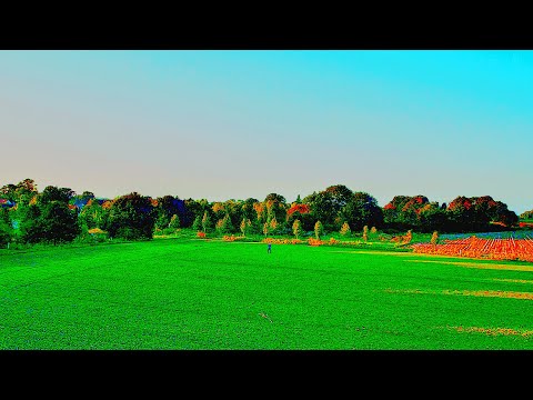 DJI Mini 2 Cinematic drone video flight Test How good is it...REALLY!?
