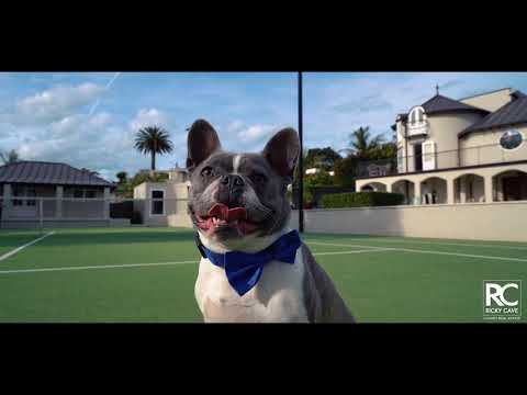 48c Benson Road, Remuera - Ricky Cave