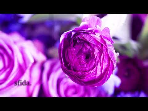 (FREE) Ernia x Mecna Type Beat (ft. Tedua) - "sfida." | Boom Bap / R&B Type Beat 2025 @uomofinnico