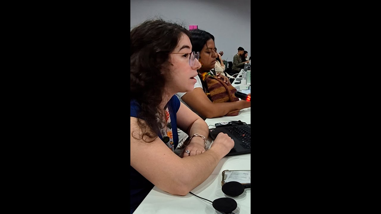COP30 – We Represent the Women and Gender Constituency on Gender-Responsive Just Transition