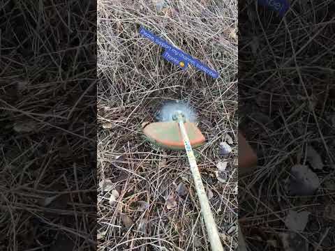 How to cut wild brambles with a grass trimmer! #shorts #farm #garden #howto