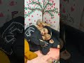 Couple Sleeping Love Sukoon Tag Your Love Caring Husband Wife Love Whatsapp Status ️