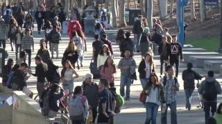 COMM101 Final Project | Lack of Parking Spaces at UCSD