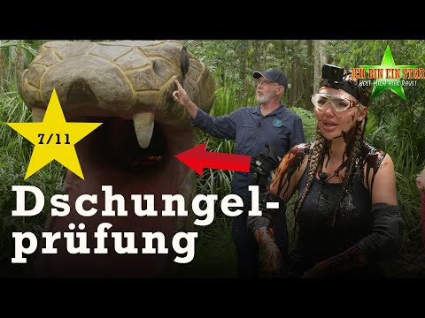 Kim im "Darm von Cobra 11" ⭐️🐍 | Dschungelcamp 2024