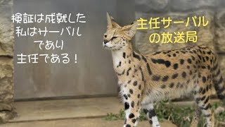 【FF14】１日メタパでアグライア完全初見配信　(声当て注意)