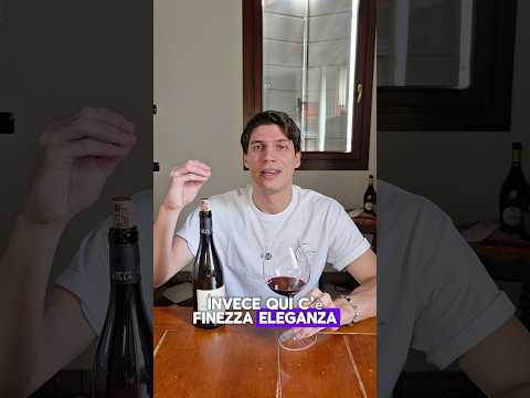 I migliori Syrah del mondo vengono dalla Francia 🇫🇷🍷🌍