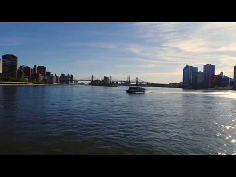 Foundation Physiotherapy & Wellness Corktown