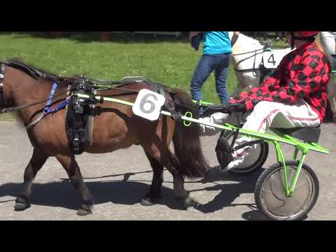 2018-05-21 Ponytrabrennen Frauenfeld