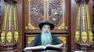 שולחן ערוך או"ח סימן תרע"א - תרע"ד - הלכות חנוכה | הרב מאיר דוד שמואלי