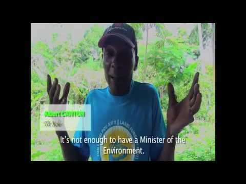 Let's Plant Trees in Haiti, Together!