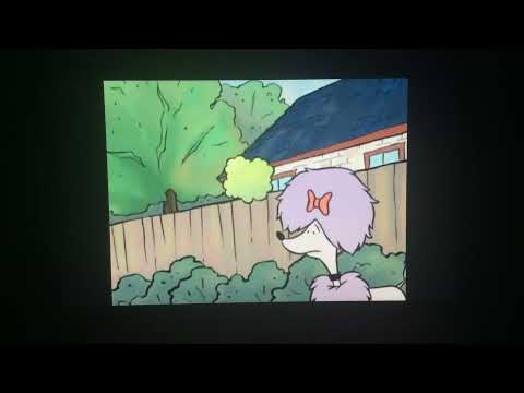 Clifford the big red dog a new friend