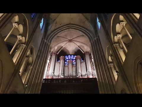 Chromatic Fantasia and Fugue in D minor, BWV 903, Cathédrale Notre-Dame de Paris