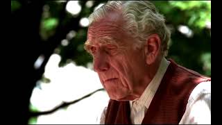 Shawshank Redemption movie what's app status Brooks was here so was red....... life after in jail