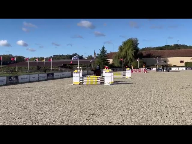 Le cheval qui donne confiance : Lovely Boy AD