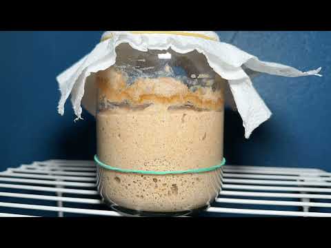 Master Your Sourdough Starter: A Step-by-Step Guide to Perfect Fermentation!