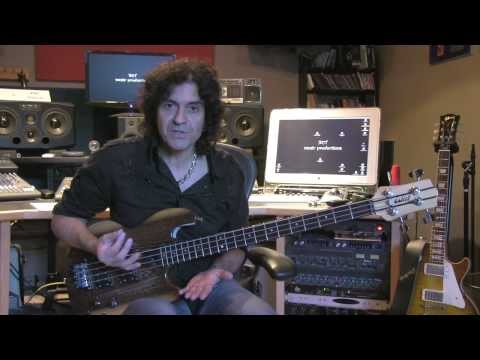 Phil Soussan Gear Carl Martin Effects Envelope Filter