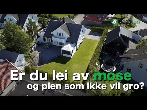 Scanturf - Kunstgress i Hagen