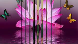 Download lagu Lagu selamat pagi mp3