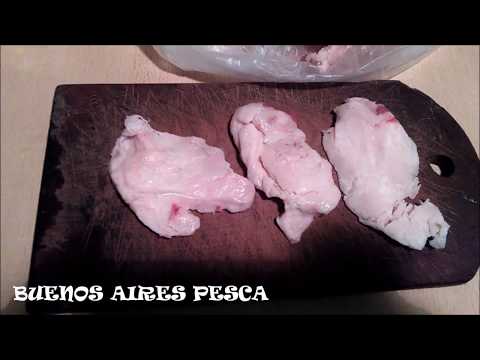 Secret of bait for fishing bogas and catfish