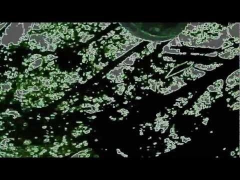 Dubkasm - lidj xylon every lion @ Garance Dub Station Corner 2012