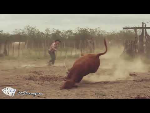 Ser Campero | El Picaso