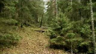 Burzum  Gebrechlichkeit II