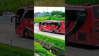 Download lagu Bus Agra Mas #busindonesia mp3 Download lagu Bus Agra Mas #busindonesia mp3