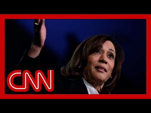 Analyst: Choosing Harris as VP may be Biden’s ‘worst’ political decision