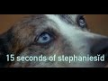 15 seconds of stephaniesĭd 