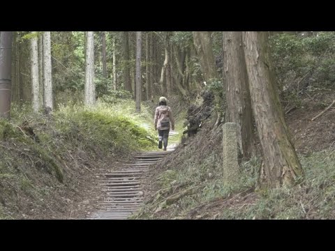 【京都一周トレイル®公式】北山東部コース
