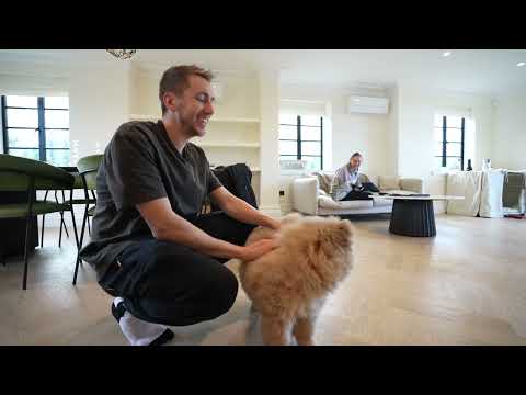 Mushu Loves Simon Now 😲