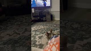 Download lagu Fighting with Dad #puppy #rapper #music #funny #love #daddy #fighter mp3 Download lagu Fighting with Dad #puppy #rapper #music #funny #love #daddy #fighter mp3