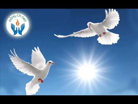 Nhã ca tình - Ca Phê Phin