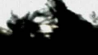 Horizon Variations - Max Richter