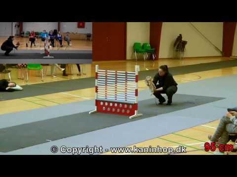 Danish Championships 2014 in Rabbit Hopping - The winners