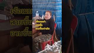 Download lagu #comedy #funny #กลุ่มเปราะบาง #ตลก #thaifood #colonelkkjϟ #streetfood #เงินสงเคราะห์คนจน #food mp3 Download lagu #comedy #funny #กลุ่มเปราะบาง #ตลก #thaifood #colonelkkjϟ #streetfood #เงินสงเคราะห์คนจน #food mp3