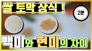 백미, 현미의 차이!