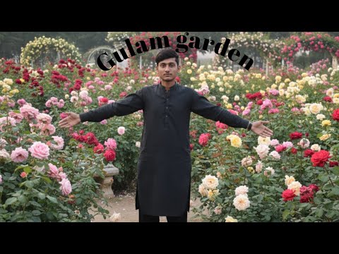 🥀Gulam Garden | Beautiful Flower Garden View | Nature Lovers🥀#rose #plants #treanding 