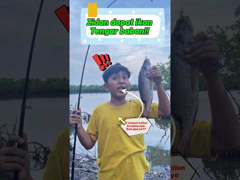 Zidan dapat ikan babon!! #wg25 #comedy #funny#tambakbakau# mancing joran