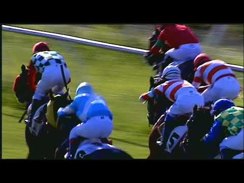 Galoppo 26/06/2020 - 2ª corsa