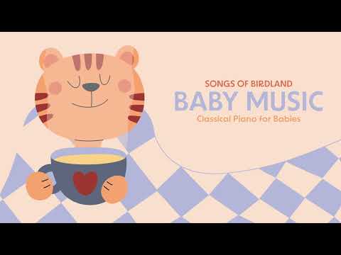 Classical Piano Songs for Babies 🎶❣️BABY MUSIC❣️🎶 Mozart, Schubert...