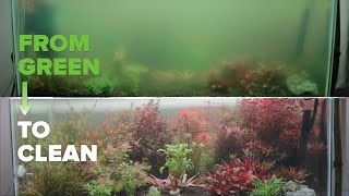 How to Fix Green Water Aquarium | Easy Fast Way tGet Rid of Algae Bloom