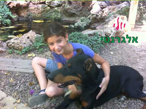 מי יעזור לבאני שלנו.wmv