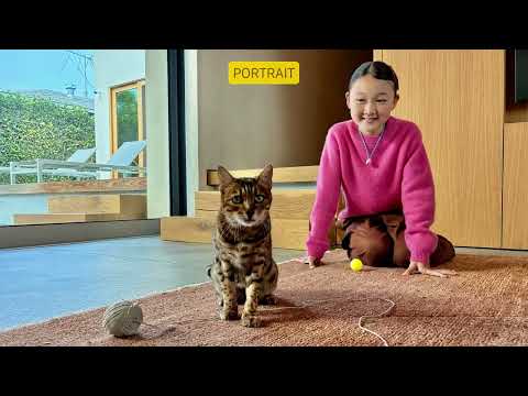 iPhone 17e 256GB Black - Image 2