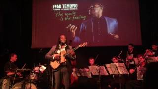 Femi Temowo